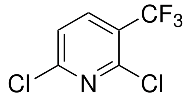 2,6-二氯-3-(三氟甲基)吡啶 98%