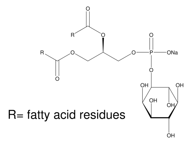 L-&#945;-磷脂酰肌醇 钠盐 来源于大豆 &#8805;99%