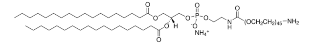 DSPE-PEG(2000) Amine Avanti Polar Lipids 880128C