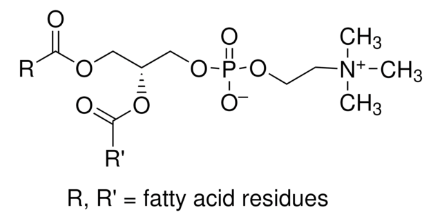 L-&#945;-卵磷脂，蛋黄，高度纯化 Chromatographically purified.