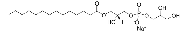 14:0 溶血剂 PG Avanti Research&#8482; - A Croda Brand