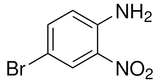 4-溴-2-硝基苯胺 97%