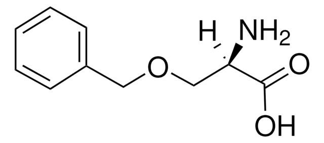 O-苄基-D-丝氨酸 &#8805;99.0%