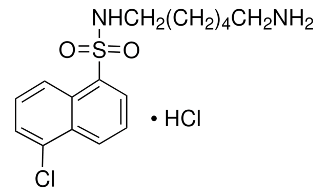 N-(6-氨基己基)-5-氯-1-萘磺酰胺 盐酸盐