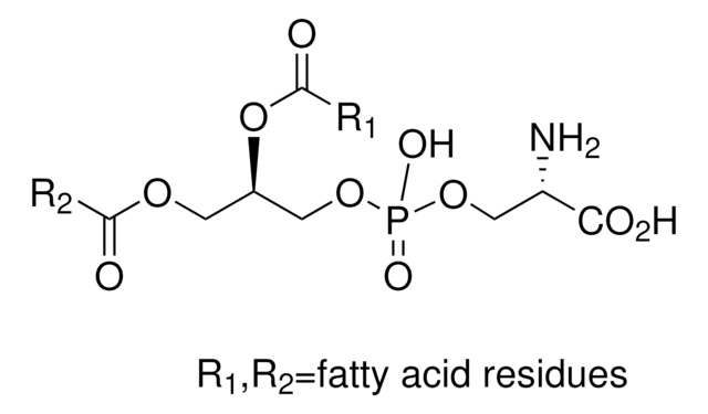 1,2-二酰-sn-甘油-3-磷酸-L-丝氨酸 溶液 &#8805;97%, from bovine brain, chloroform:methanol solution