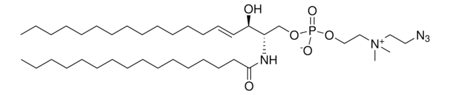 16:0 Azidoethyl SM (d18:1/16:0) Avanti Polar Lipids