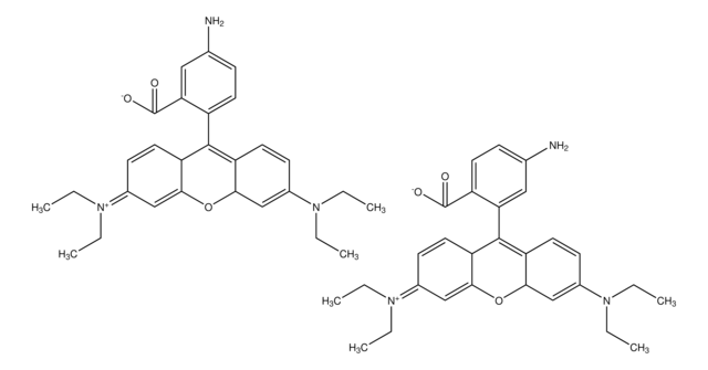 Rhodamine B amine