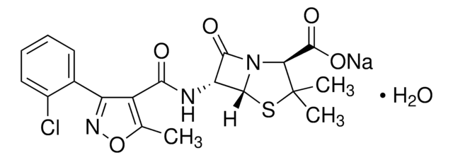 氯唑西林 钠盐 一水合物 &#946;-lactamase-resistant antibiotic