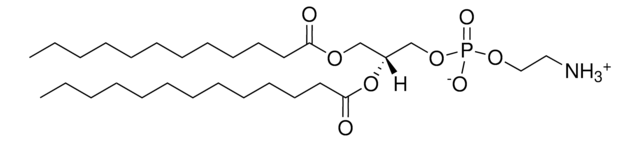 12:0-13:0 PE Avanti Polar Lipids LM1100, methanol solution