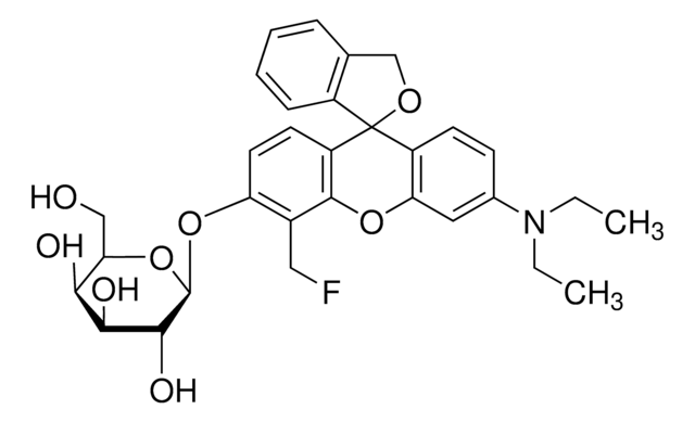 &#946;-半乳糖苷酶染色剂