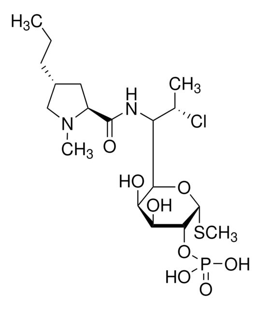 克林霉素 2-磷酸酯 aminoglycoside antibiotic