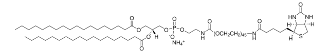 磷脂酰乙醇胺-聚乙二醇2000-生物素 Avanti Polar Lipids 880129C