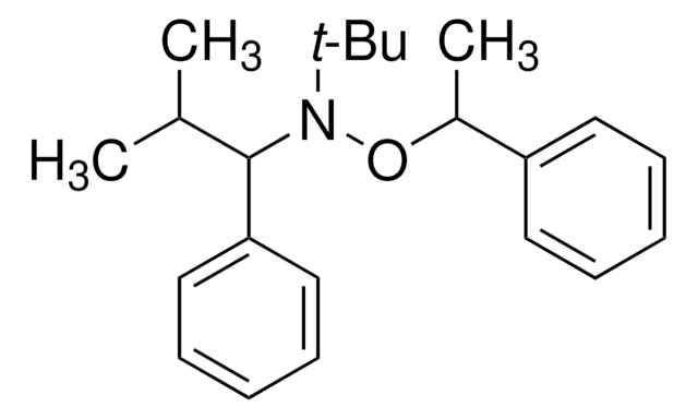 N-叔丁基-N-(2-甲基-1-苯丙基)-O-(1-苯乙基)羟胺