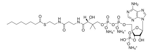 08:0 Coenzyme A Avanti Polar Lipids 870708P, powder