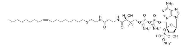 18:1 ether Coenzyme A Avanti Polar Lipids 870741P, powder