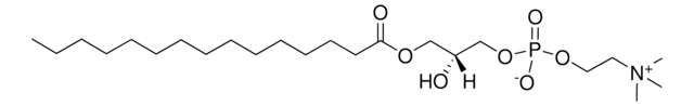 15:0 Lyso PC 1-pentadecanoyl-2-hydroxy-sn-glycero-3-phosphocholine, chloroform