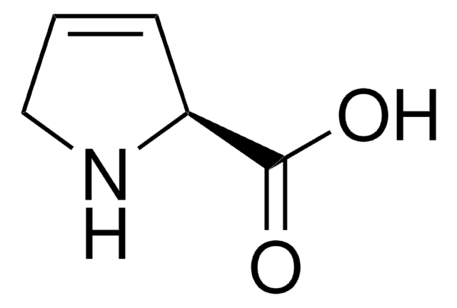 3,4-脱氢-L-脯氨酸