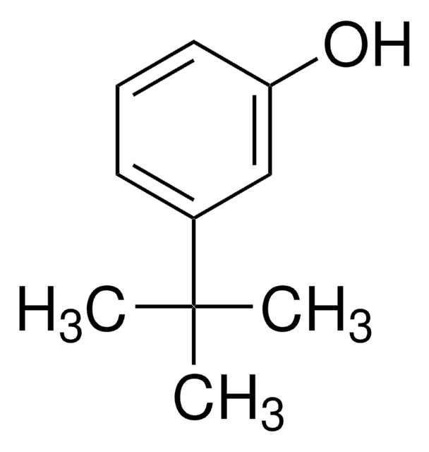 3-tert-Butylphenol 99%