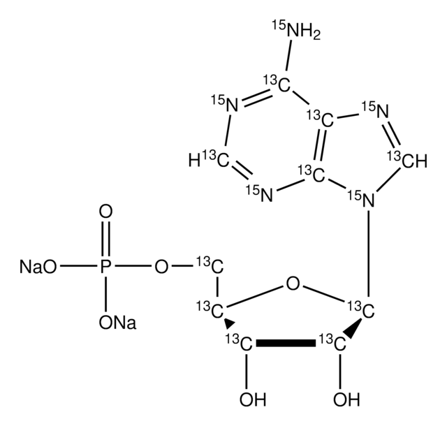 腺苷-13C10,15N5 5′-一磷酸 钠盐 100&#160;mM (in 5mM Tris HCl / H2O), &#8805;98 atom %, &#8805;95% (CP)