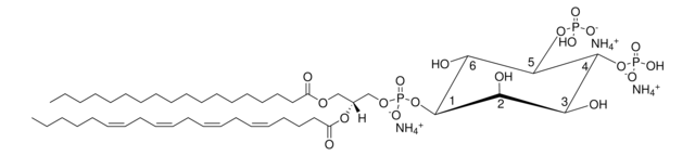 大脑PI(4,5)P2 Avanti Polar Lipids