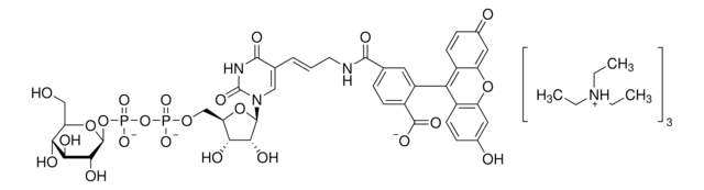 葡萄糖-UDP-荧光素结合物 &#8805;95% (HPLC)