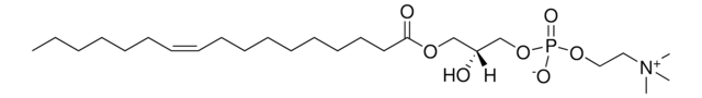 17:1 Lyso PC Avanti Polar Lipids LM1601, methanol solution