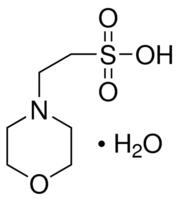 MES 一水合物