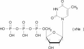 Thymidine 5&#8242;-triphosphate sodium salt solution 10&#160;mM (pH 7.0)